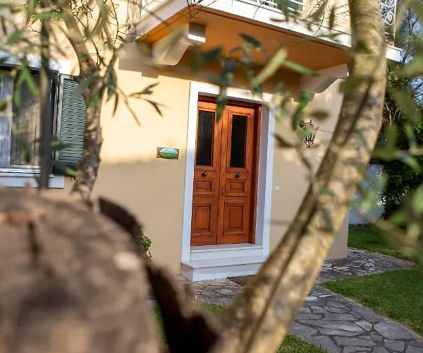 Vk فيلة Apolpaina