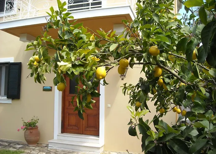 فيلة Vk Apolpaina