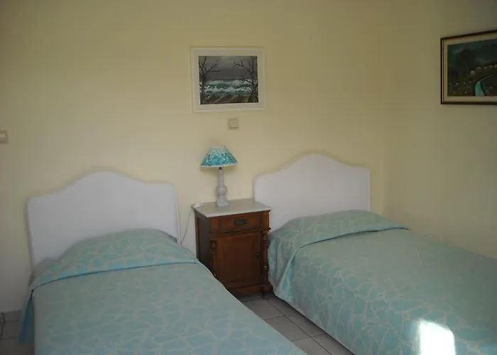 Vk فيلة Apolpaina